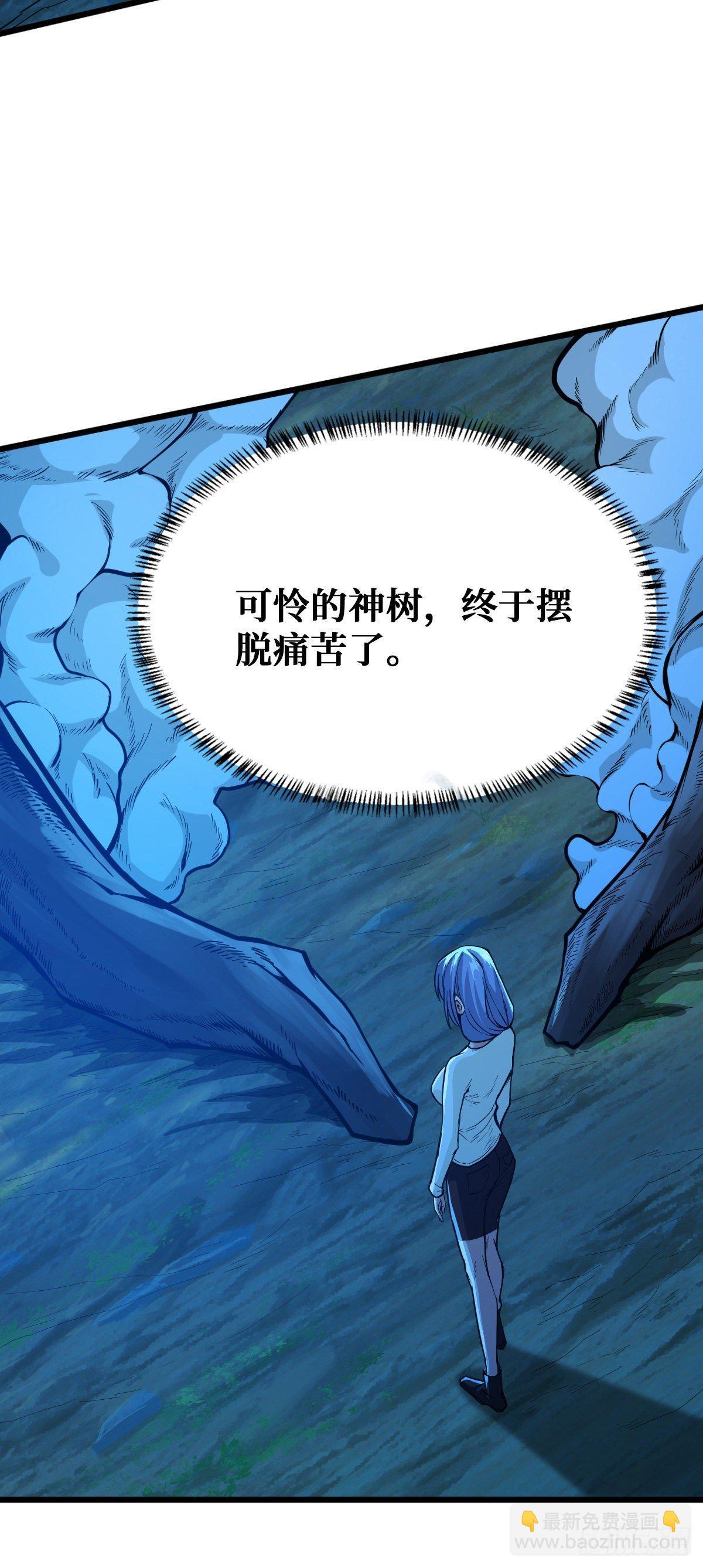 大采购17
