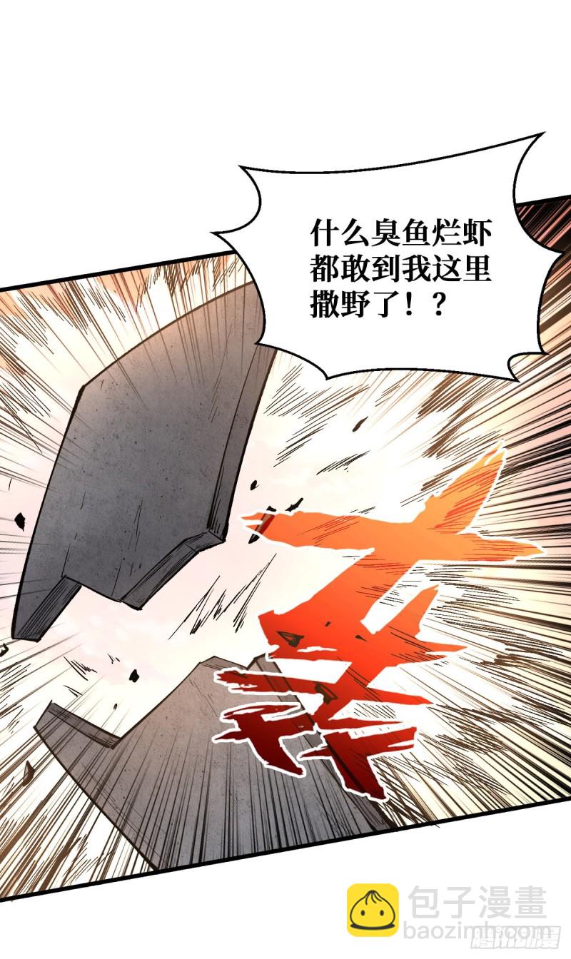 昙花一现3