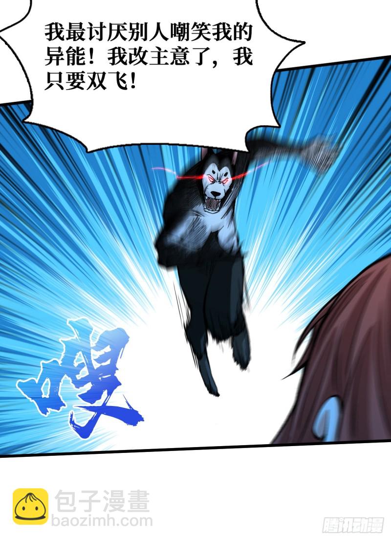 二哈犬人24