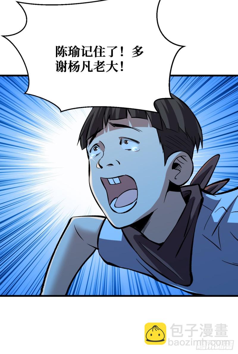 随机交易者5