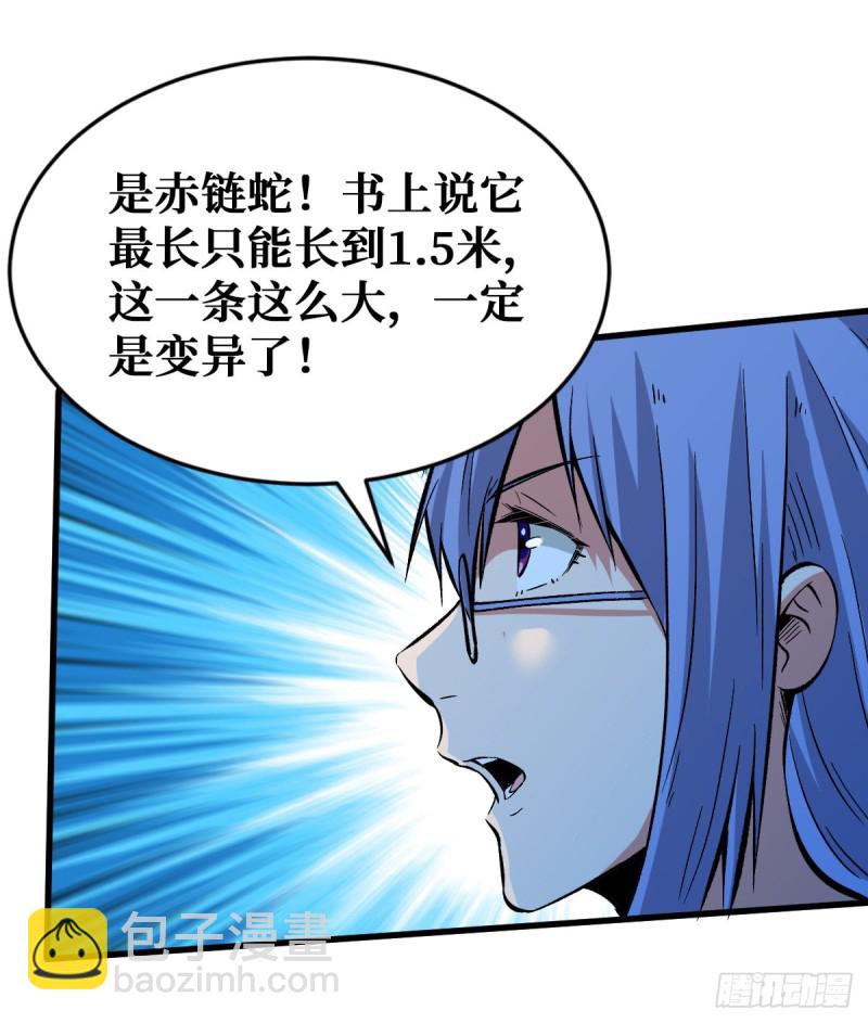 赤链蛇22