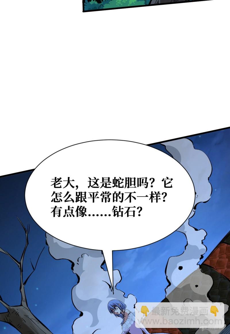 赤链蛇30
