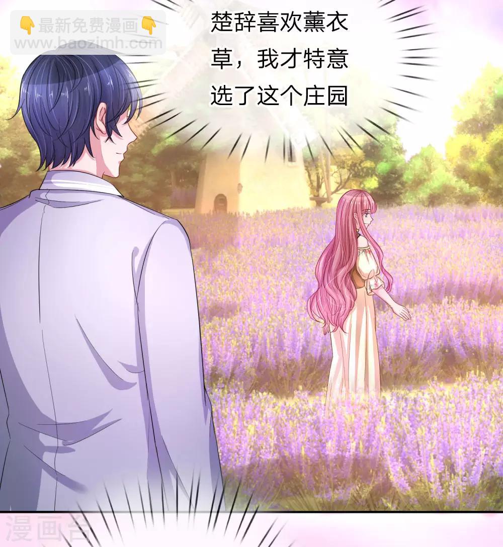 第215话 薰衣草花海2