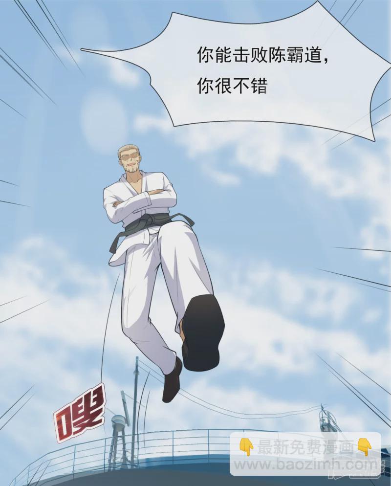 第147话 叶家，叶无形18