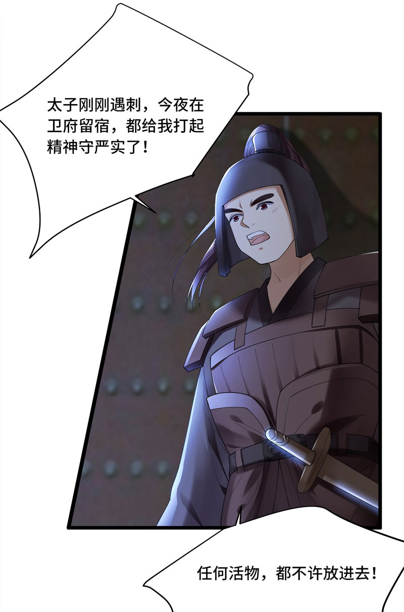 第3话 二皇子救驾29