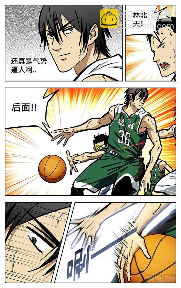 292.回来了8