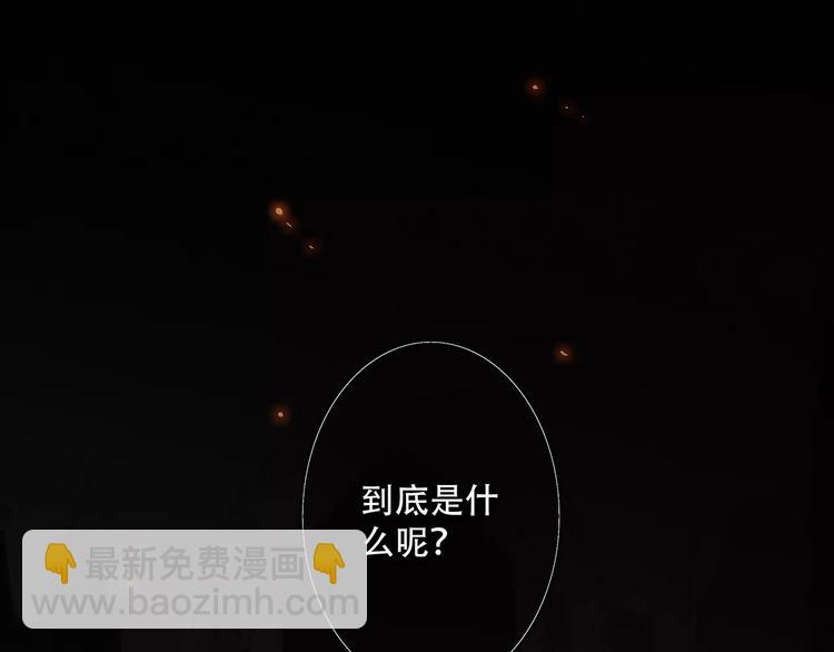 第15话（下） 黑暗中的太阳40
