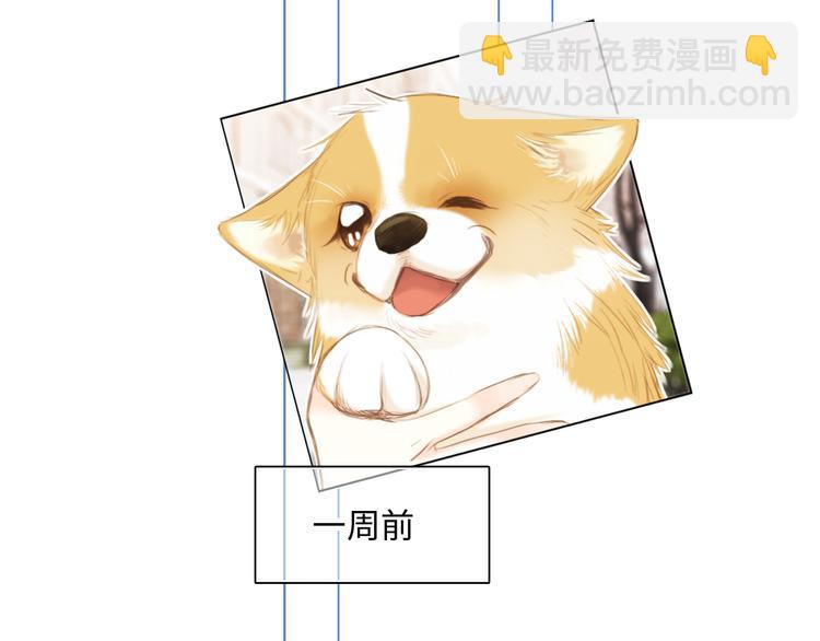番外 小小心思3