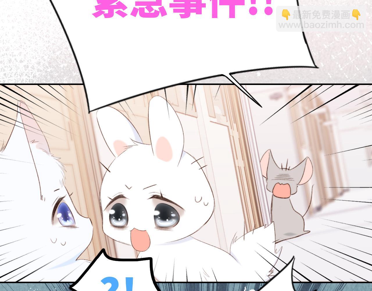 117 心上人…和谁在通话中？142