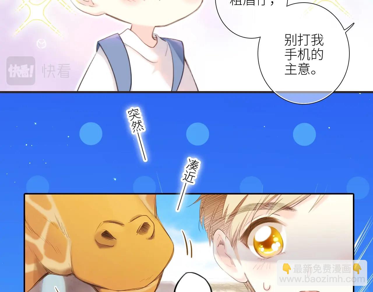 番外｜三星限定番：Z Flip团宠游园会9
