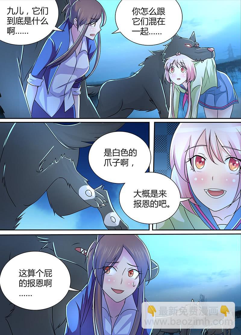 229 狼群12