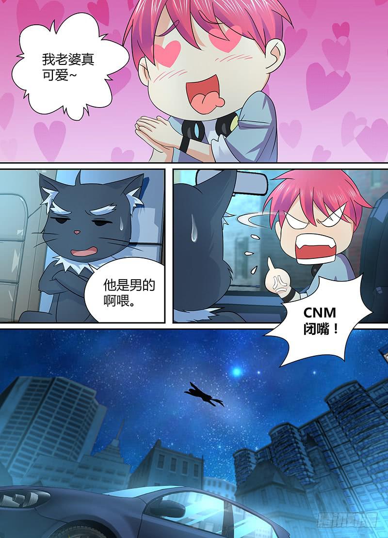 229 狼群6