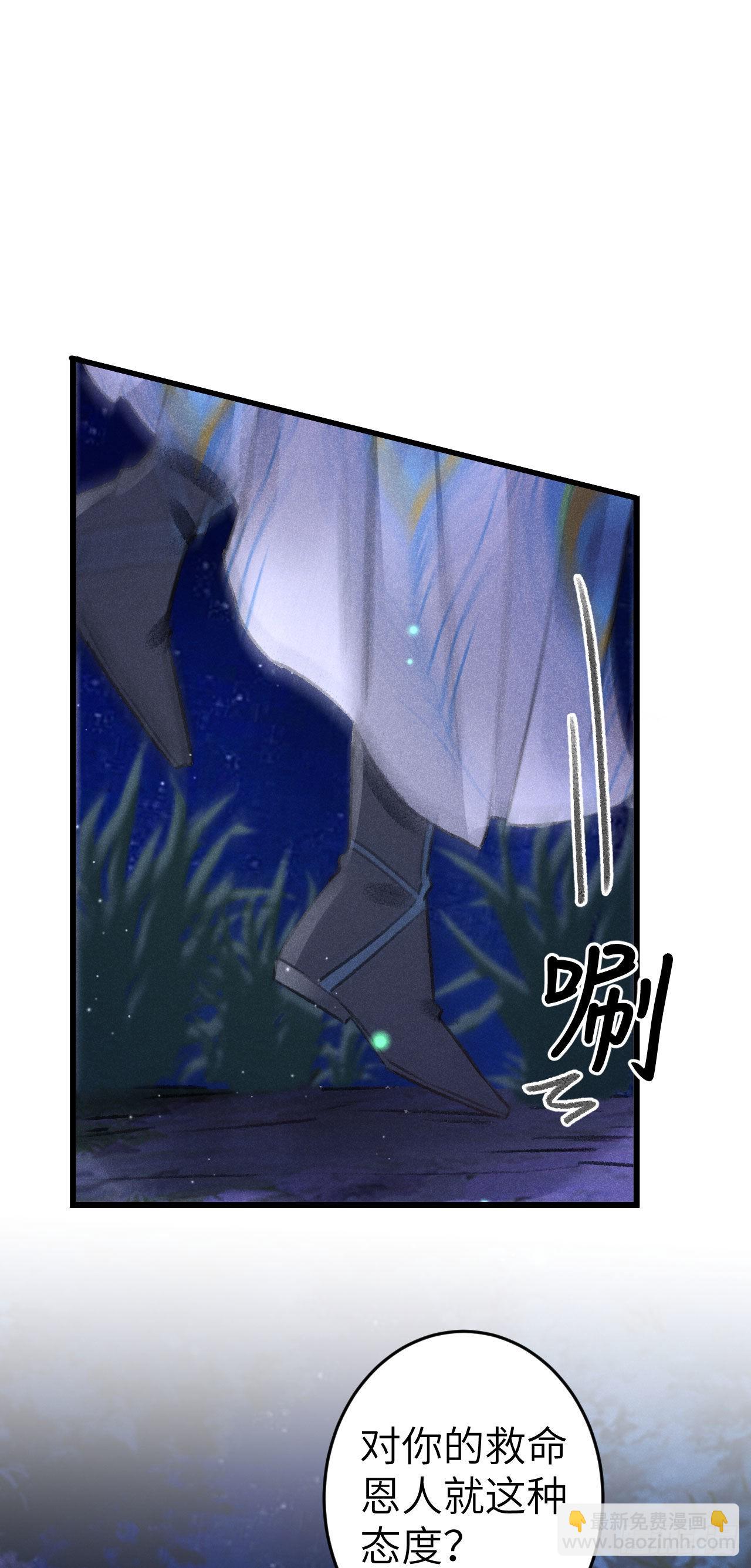164·白芨24