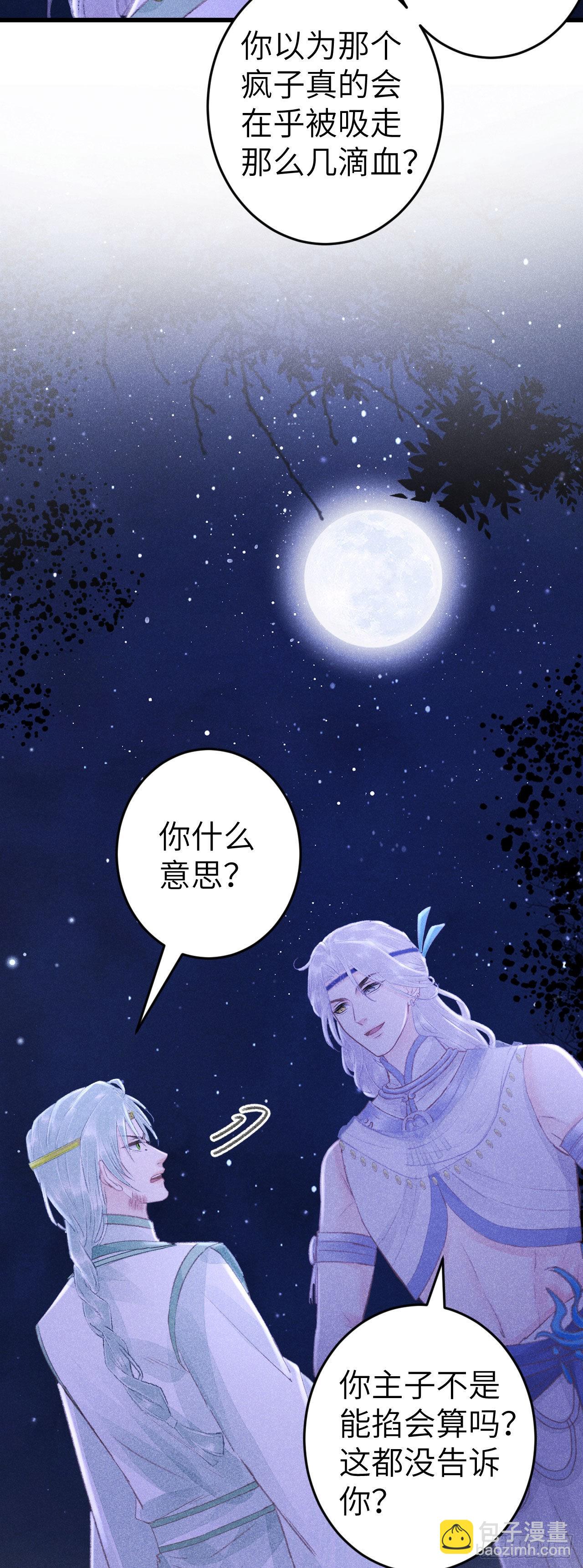 164·白芨28