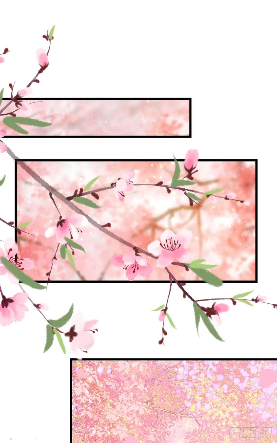 249·合作计划65