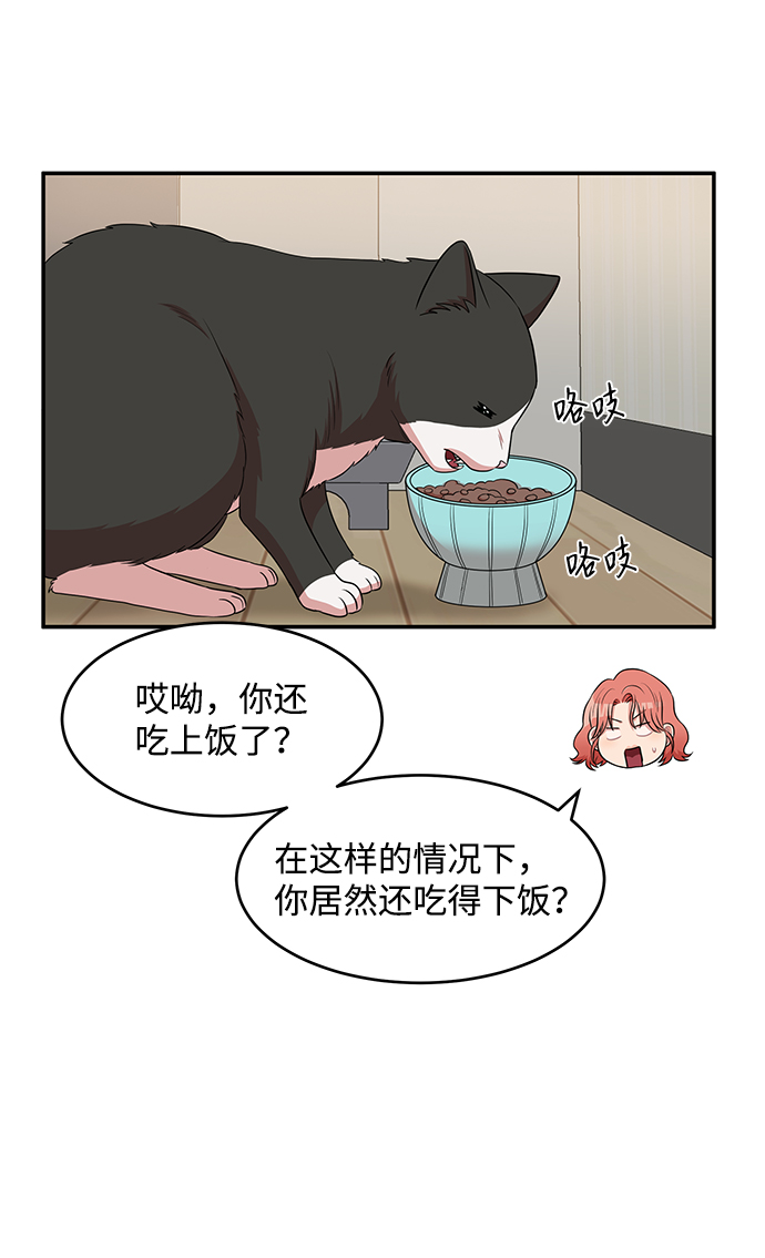 第49话37