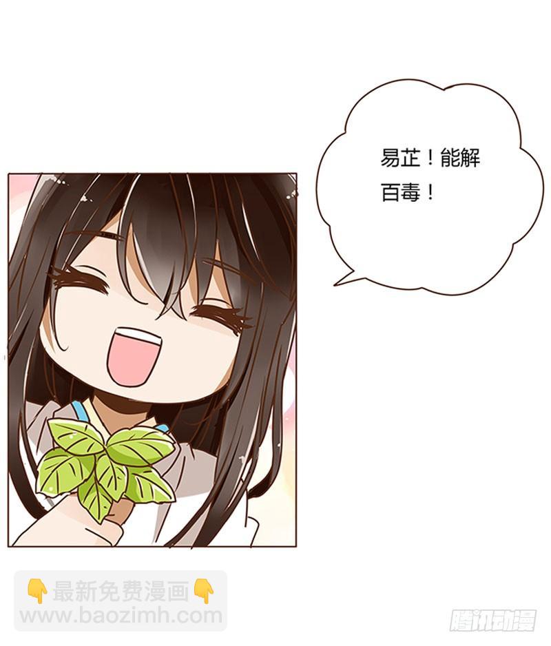 第四章 解药？28