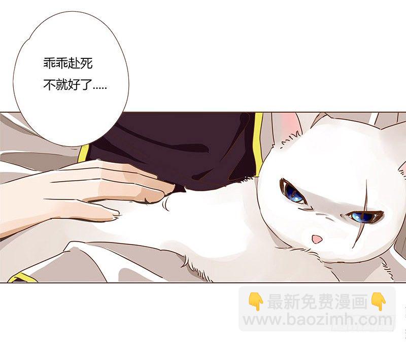 第七章 刺杀18