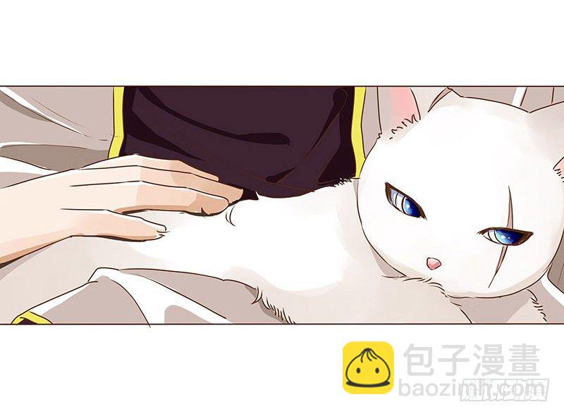 第七章 刺杀8