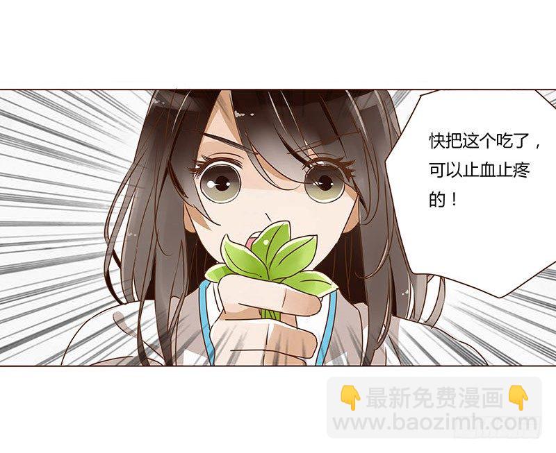 第八章 刺杀二41
