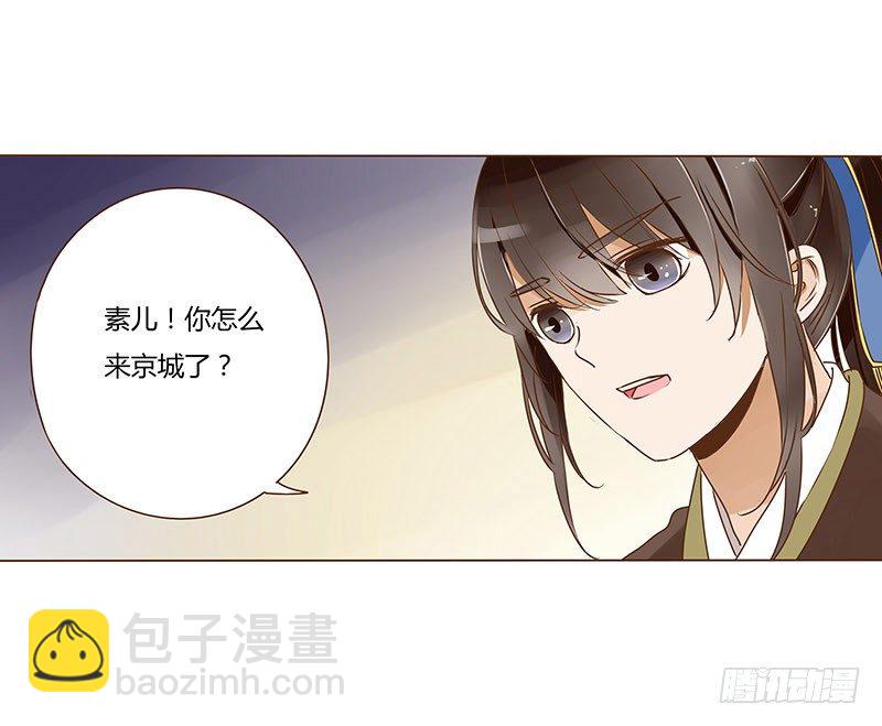 第十章 进宫46