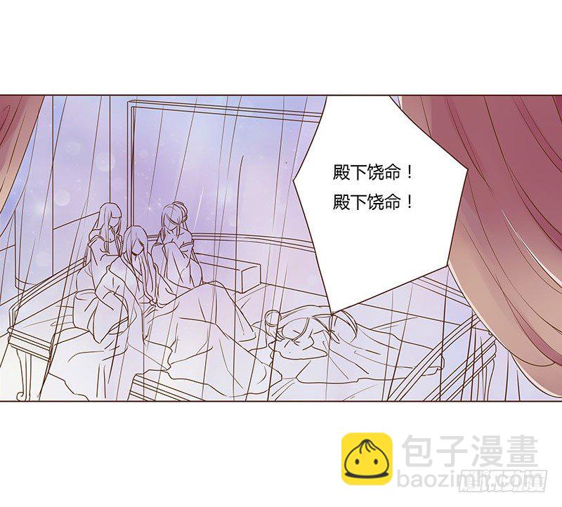 二十一章 二皇子林睿珩21