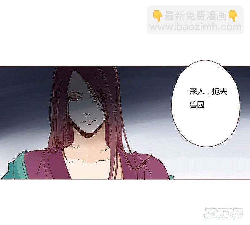 二十一章 二皇子林睿珩22