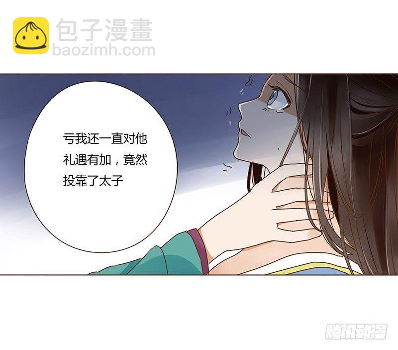 二十一章 二皇子林睿珩25