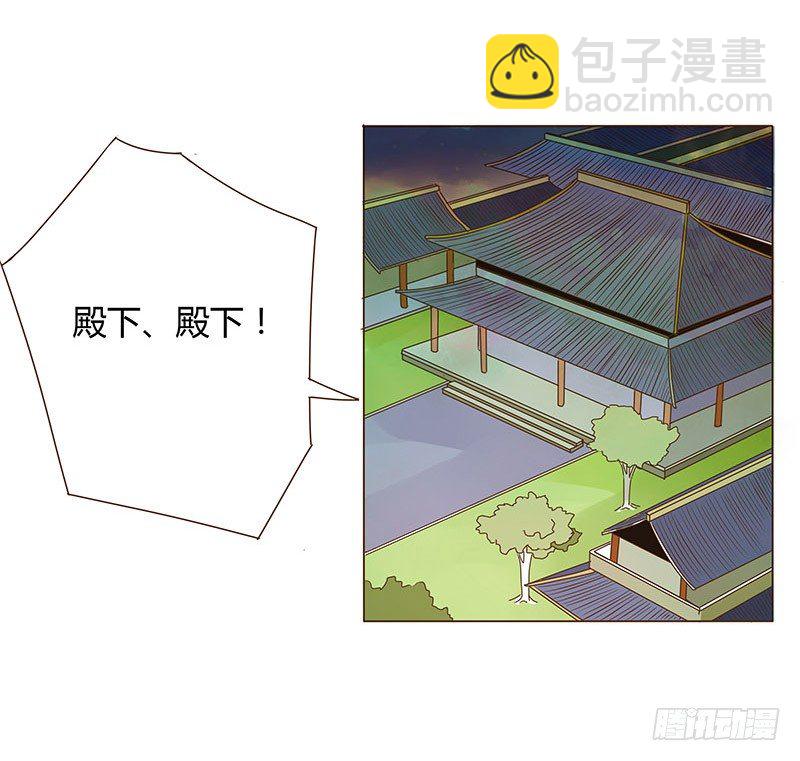 二十一章 二皇子林睿珩36