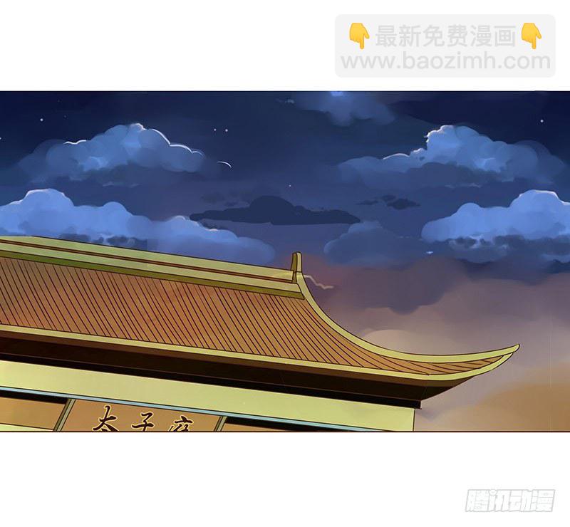 二十一章 二皇子林睿珩39