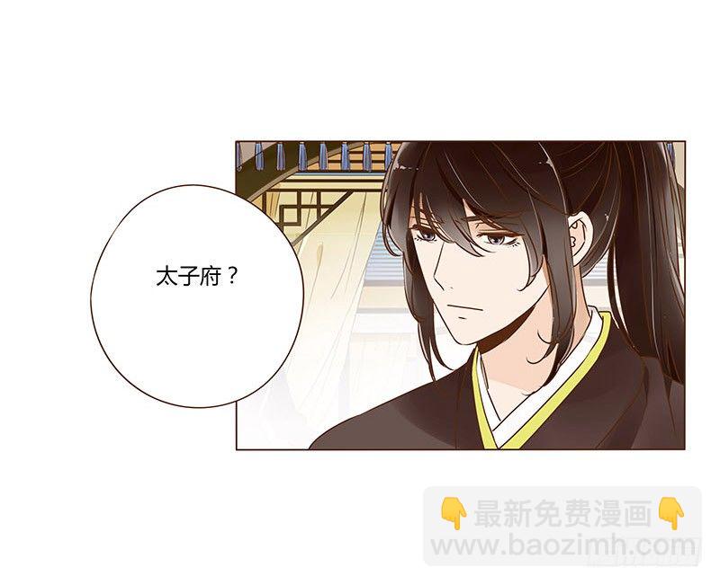 三十二章 拜访太子府27