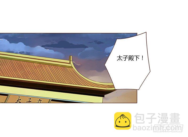四十四章 太子府遭遇危机30