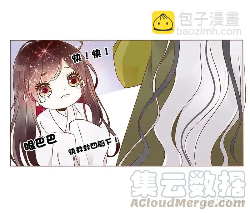七十七章 安心40