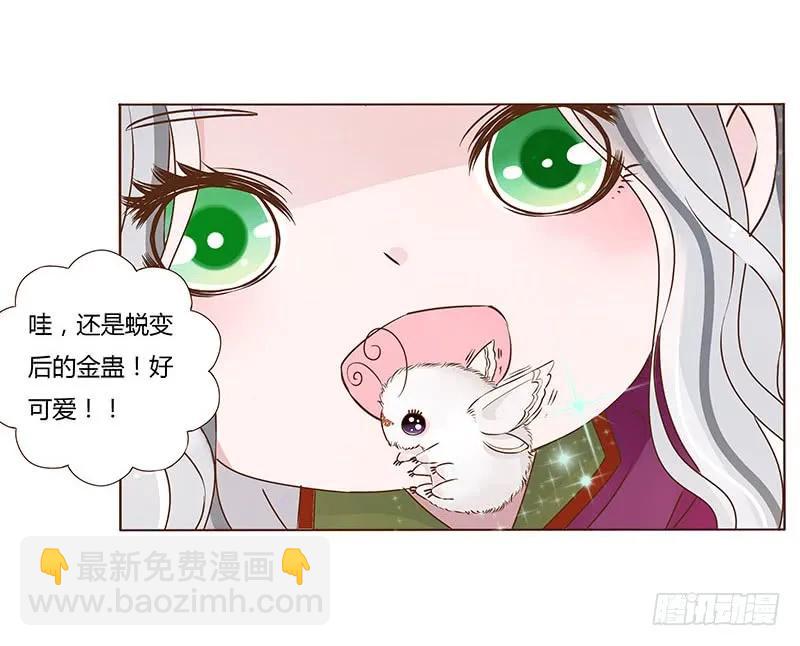 七十八章 魏穹6