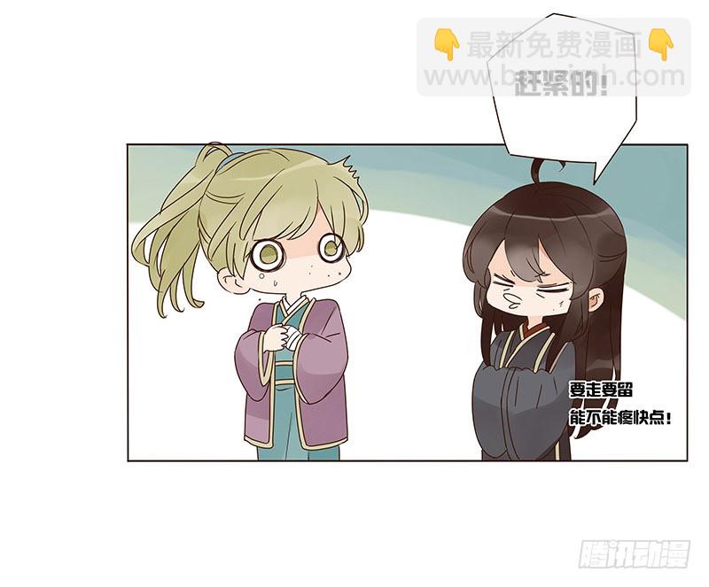 一三二章 凌琦回来了23