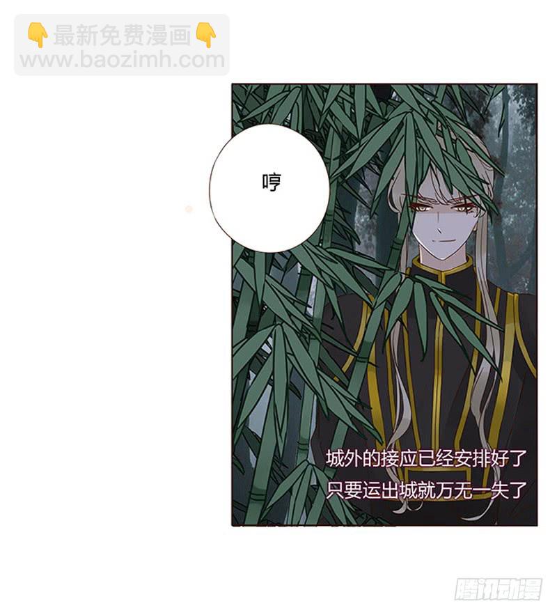 一三二章 凌琦回来了55