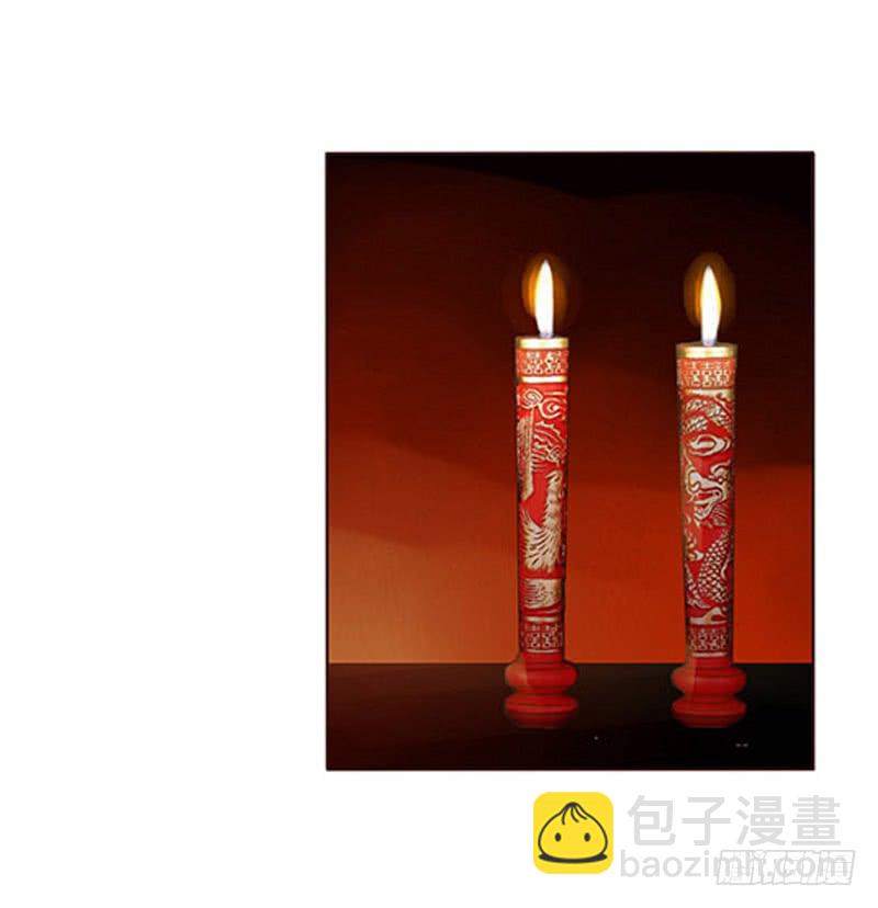 一三三章 直接洞房吧132