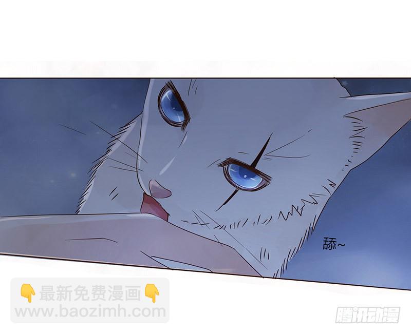 一五零章 擦身11