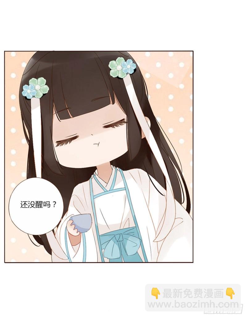 二三七章 噩梦醒了46
