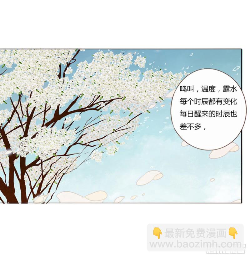 二三八章 “放虎归山”13