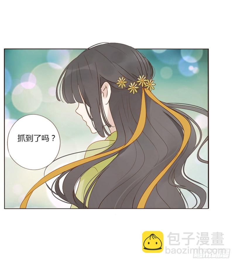 二四四章 暗恋21