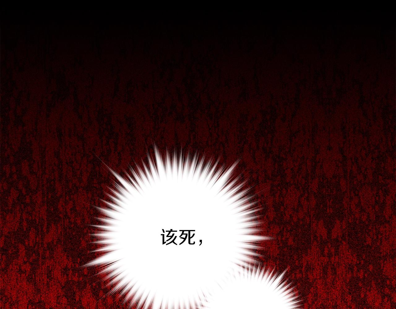 第154话 底牌66