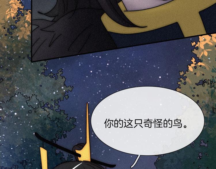 第78夜 跟随54