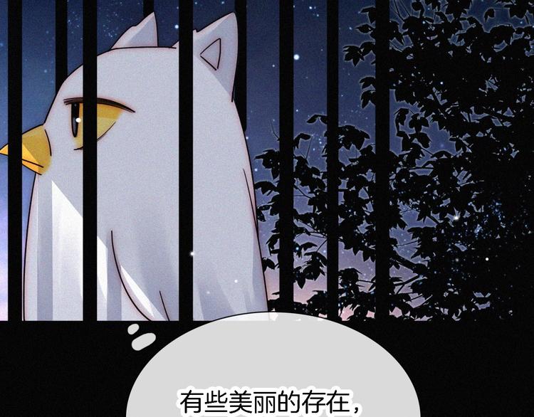 第94夜 若我们能只如初遇54