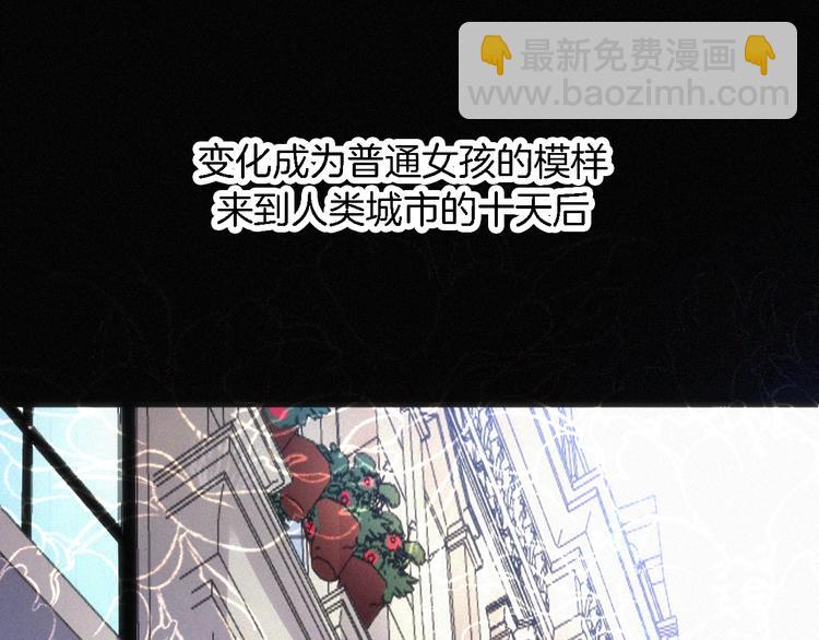 第94夜 若我们能只如初遇59