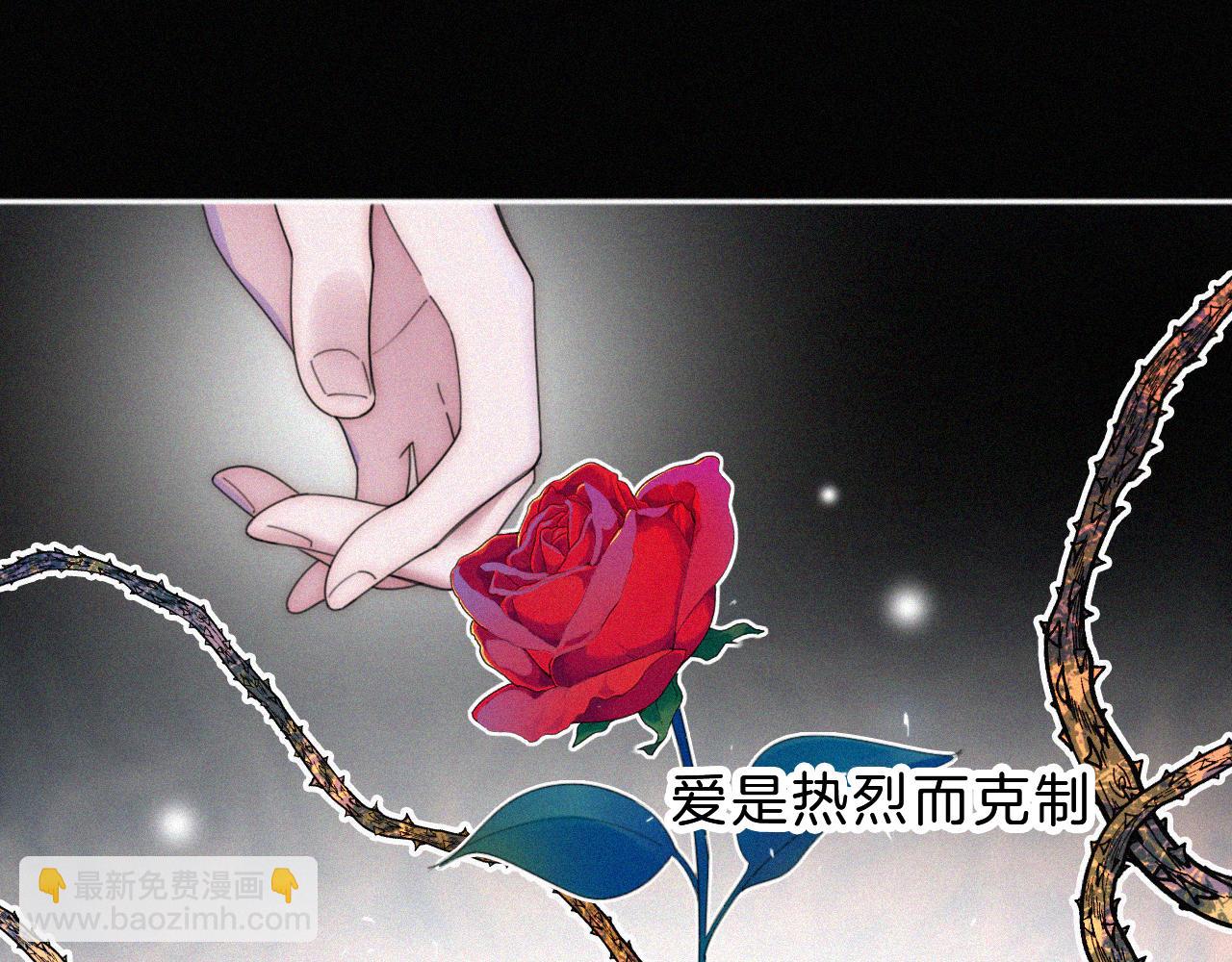 第181夜 红玫瑰53