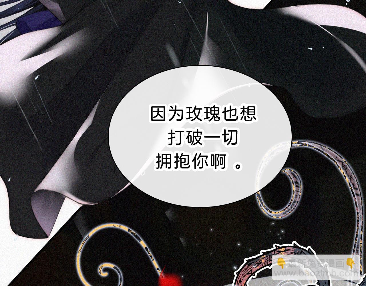 第181夜 红玫瑰70