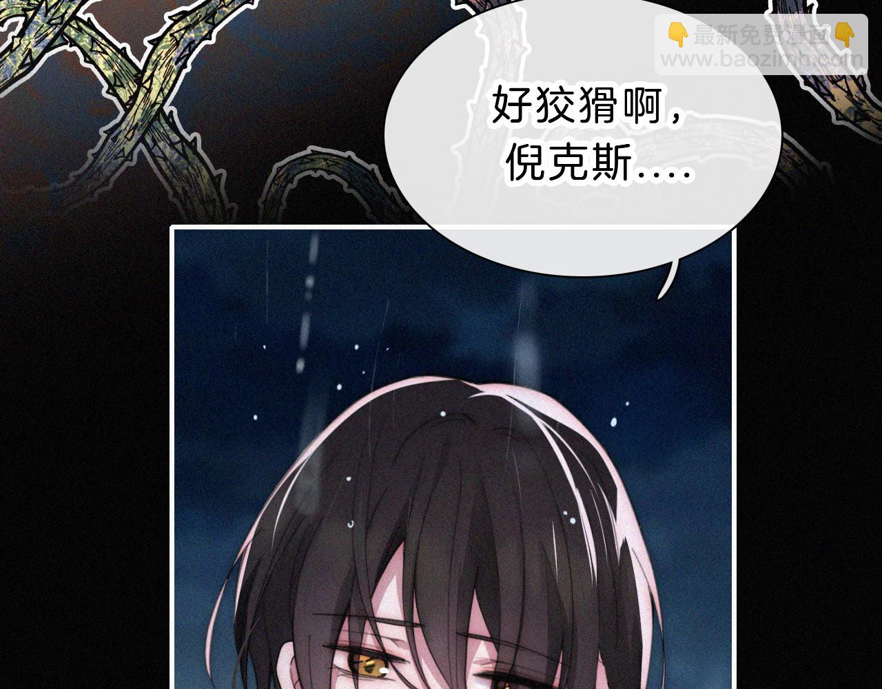 第181夜 红玫瑰73