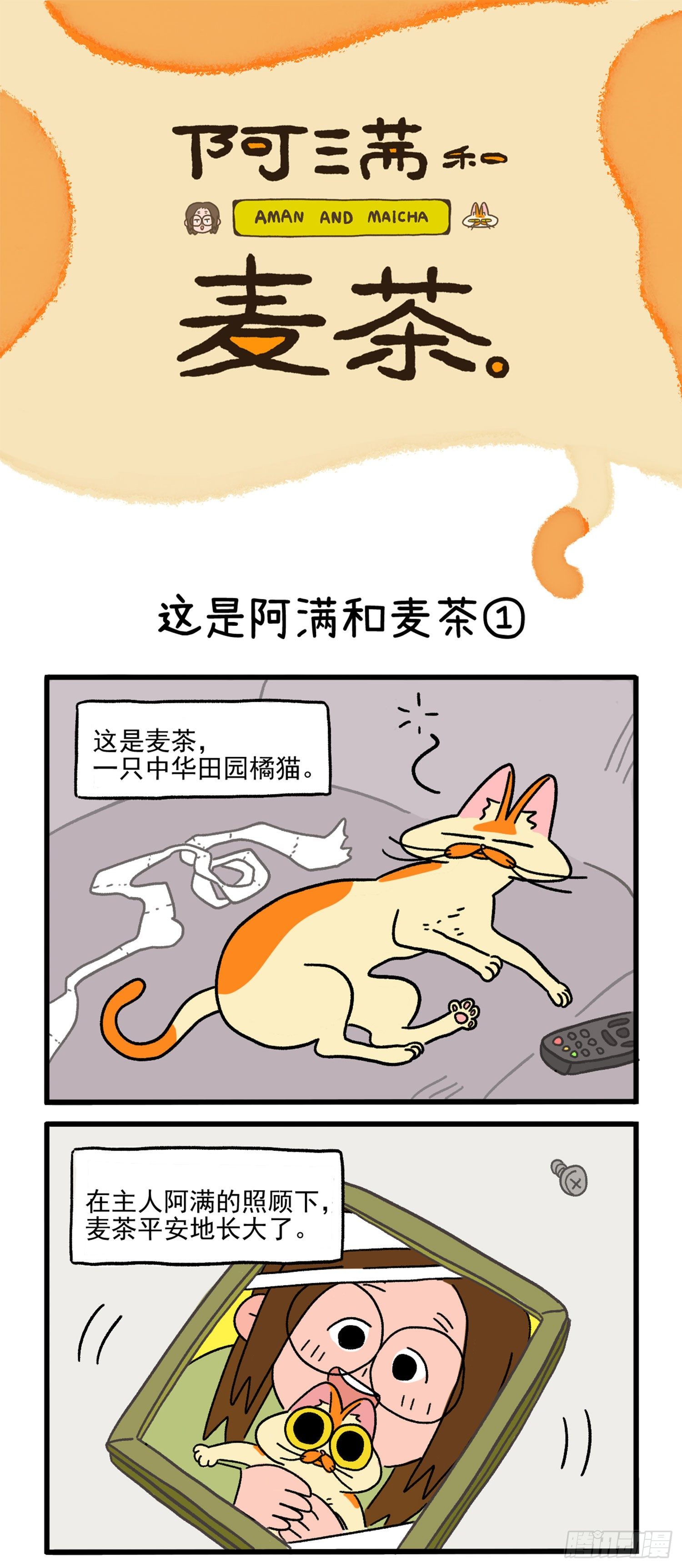 第1话 这是阿满和麦茶0