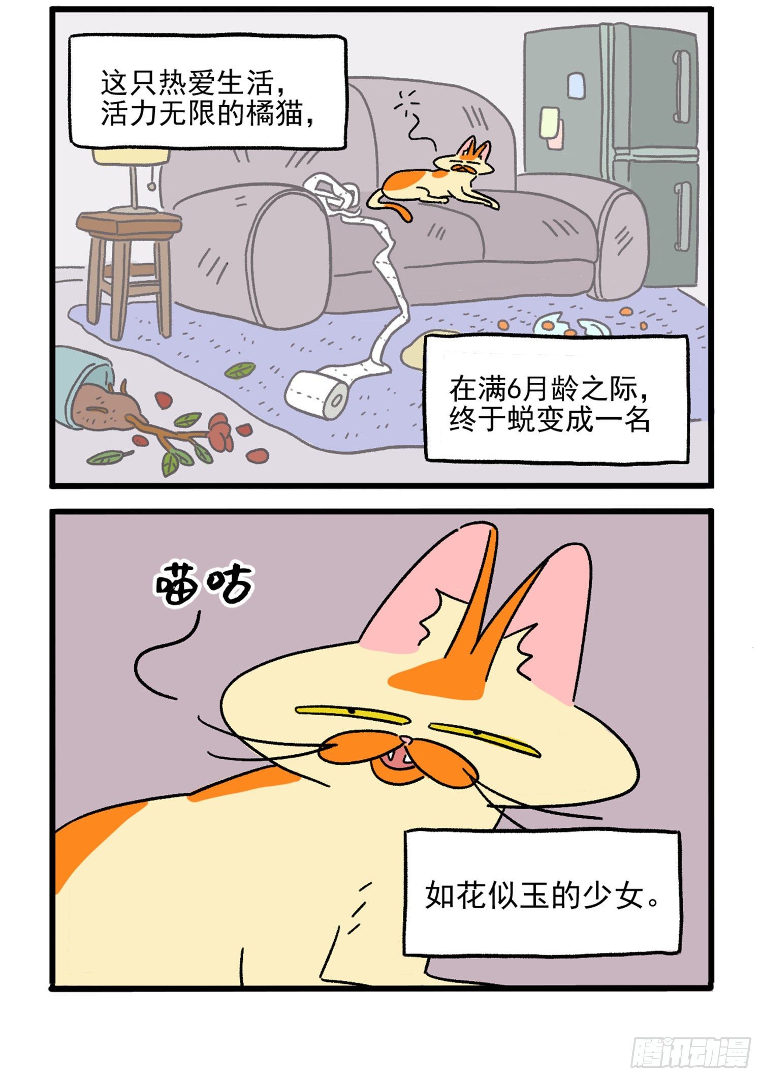 第1话 这是阿满和麦茶1